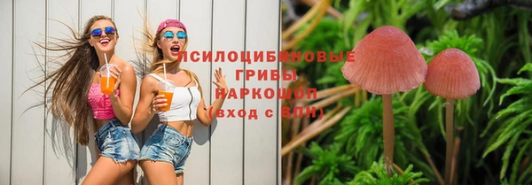 PSILOCYBIN Иннополис