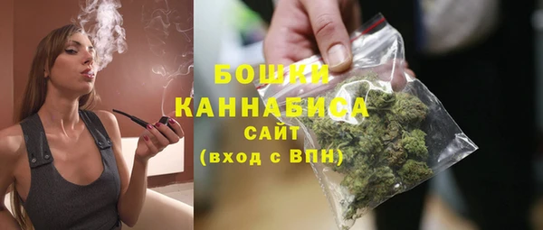 PSILOCYBIN Иннополис