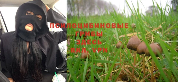 гашиш Инсар