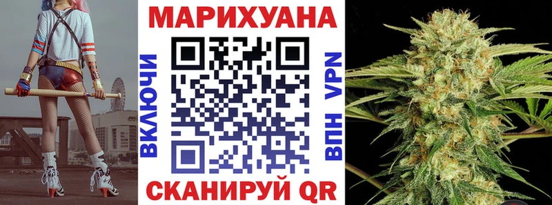 Купить  Богданович  Каннабис сатива 